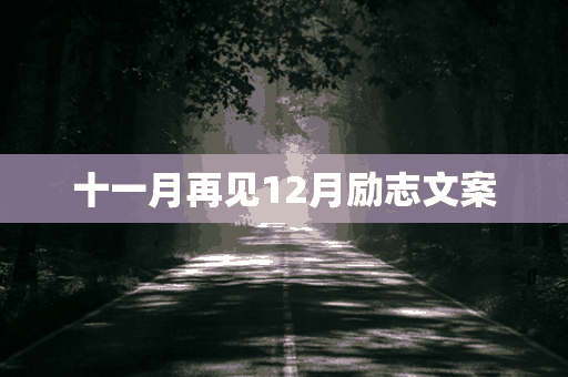 十一月再见12月励志文案(十一月再见12月励志文案怎么写)